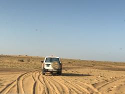 Le désert de l'Adrar